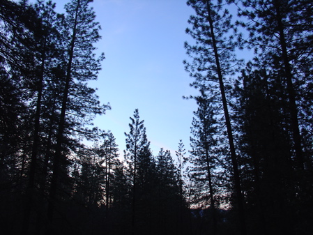 DSC01988.jpg