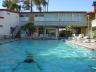 swimmer
