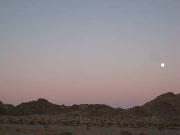 Desert