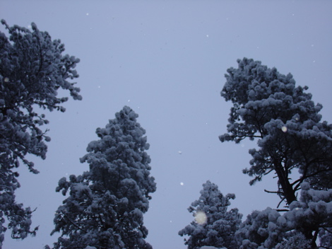 Snow Snow