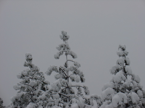 Snow Snow